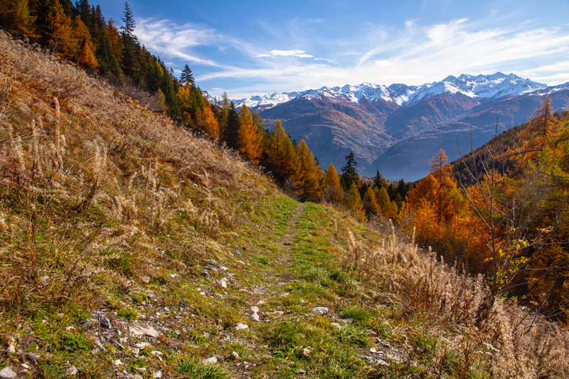 Randonnée - Ovronnaz