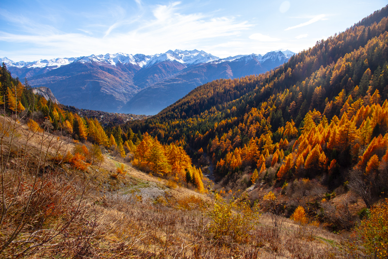 Randonnée - Ovronnaz