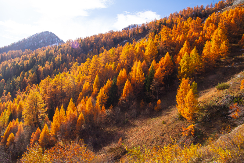 Randonnée - Ovronnaz