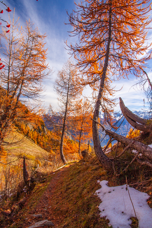 Randonnée - Ovronnaz