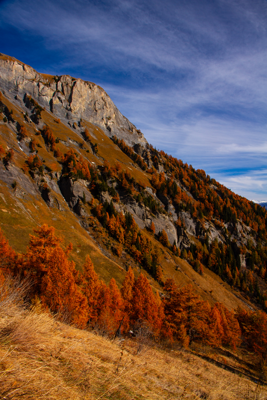 Randonnée - Ovronnaz