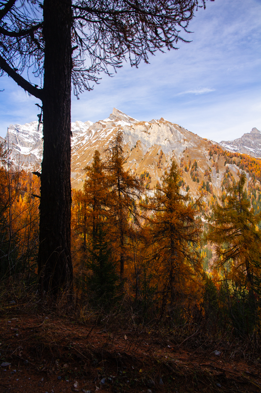 Randonnée - Ovronnaz