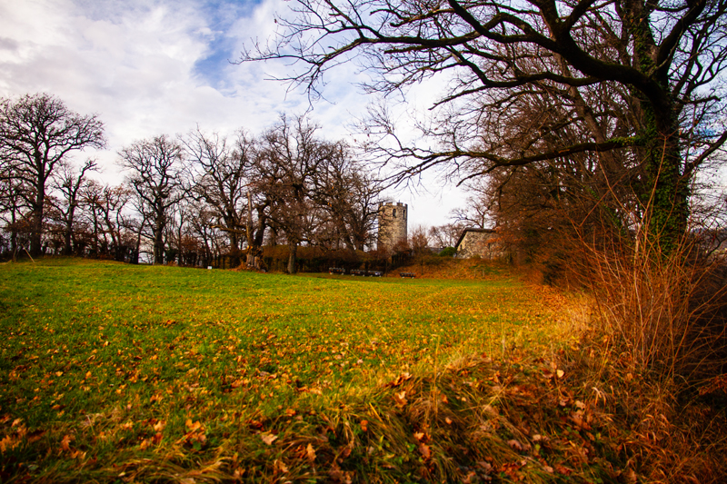 Bex – ruine romaine et tour de Duin