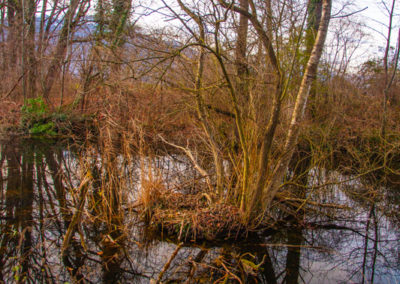 Randonnée - Bex – ruine romaine et tour de Duin