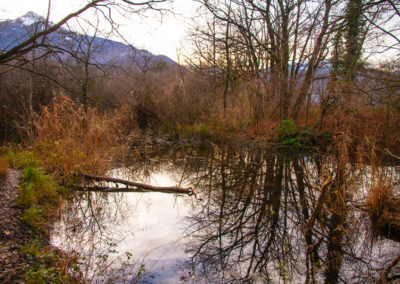 Randonnée - Bex – ruine romaine et tour de Duin