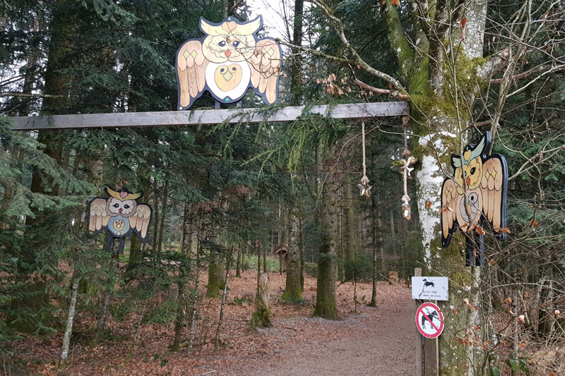 Randonnée - Sentier à tire d’ailes à Le Crêt