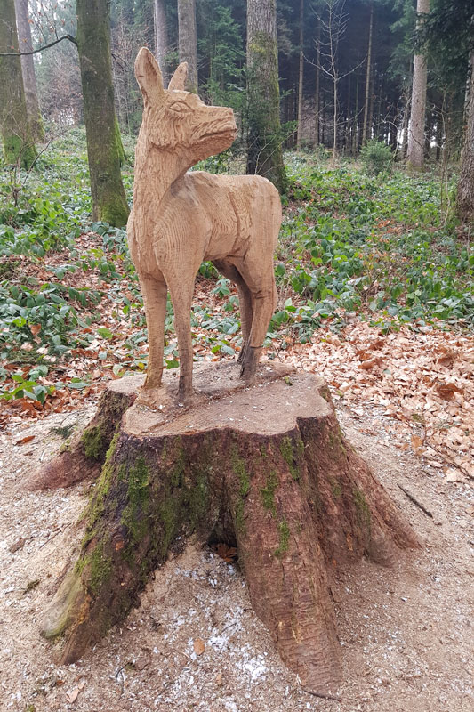 Randonnée - Sentier à tire d’ailes à Le Crêt