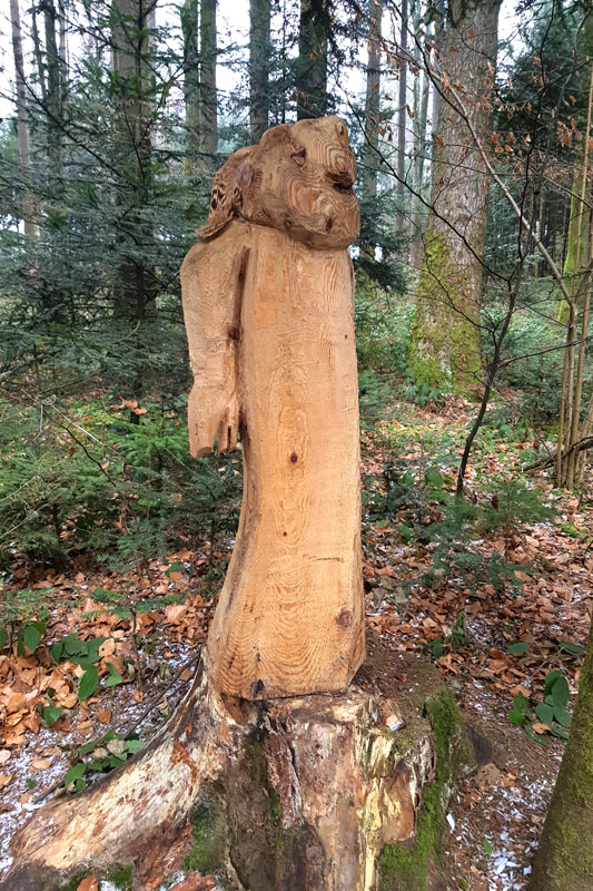 Randonnée - Sentier à tire d’ailes à Le Crêt