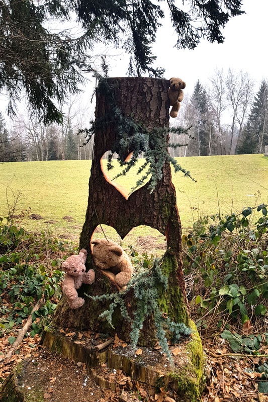 Randonnée - Sentier à tire d’ailes à Le Crêt