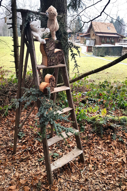 Randonnée - Sentier à tire d’ailes à Le Crêt