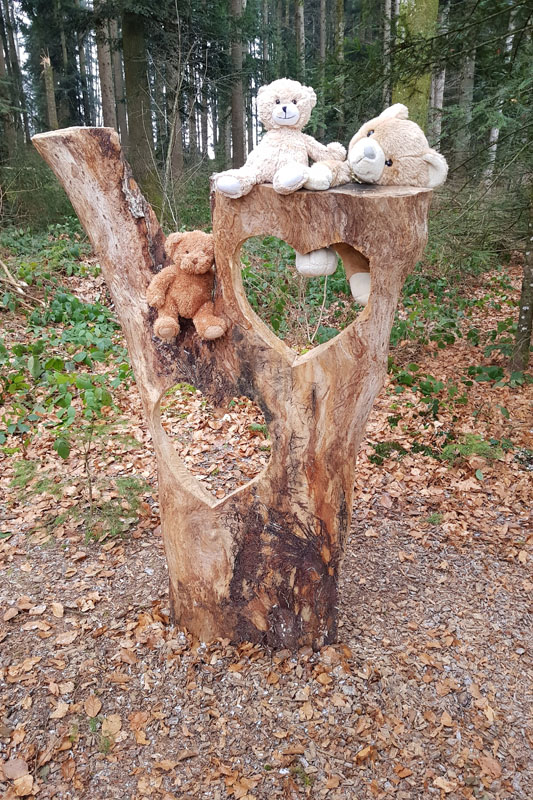 Randonnée - Sentier à tire d’ailes à Le Crêt