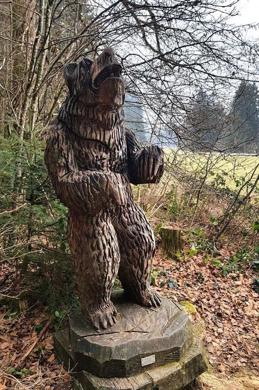 Randonnée - Sentier à tire d’ailes à Le Crêt