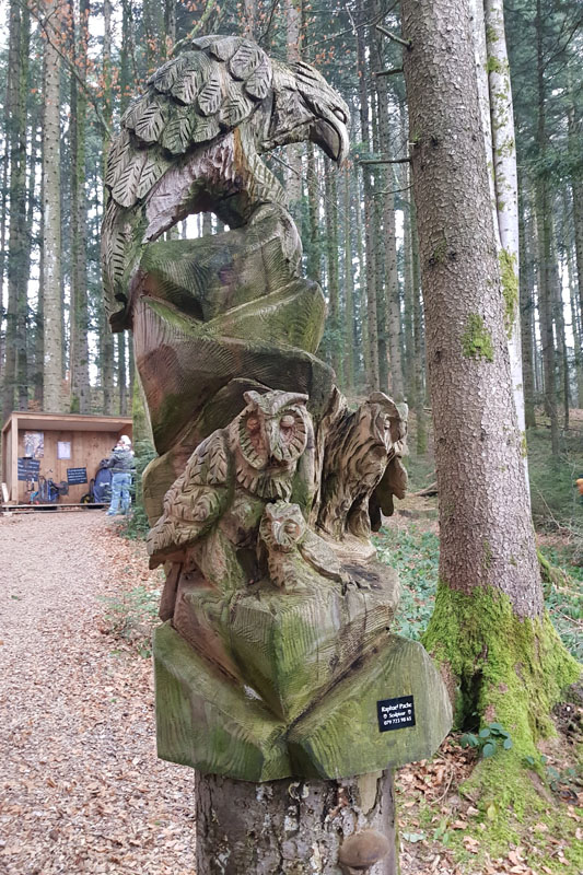 Randonnée - Sentier à tire d’ailes à Le Crêt