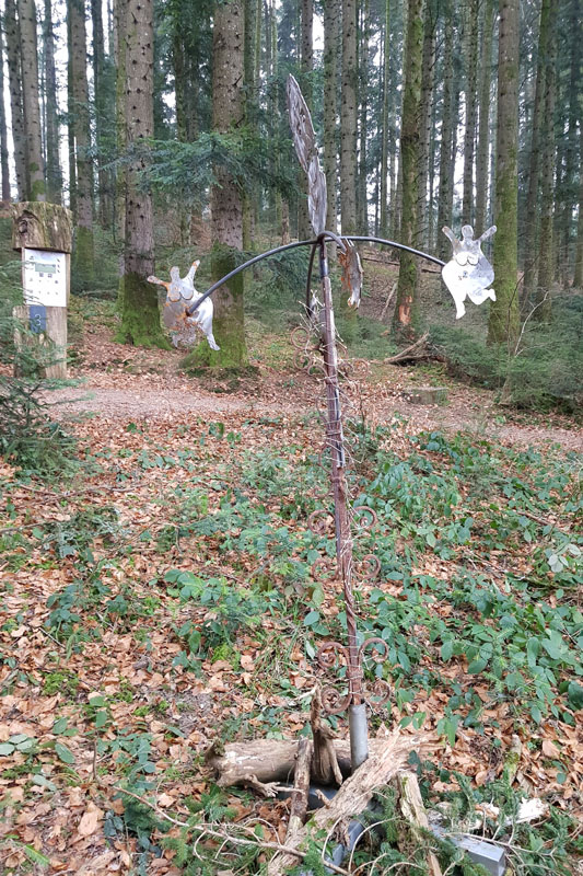 Randonnée - Sentier à tire d’ailes à Le Crêt