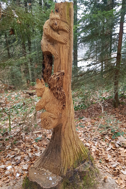 Randonnée - Sentier à tire d’ailes à Le Crêt