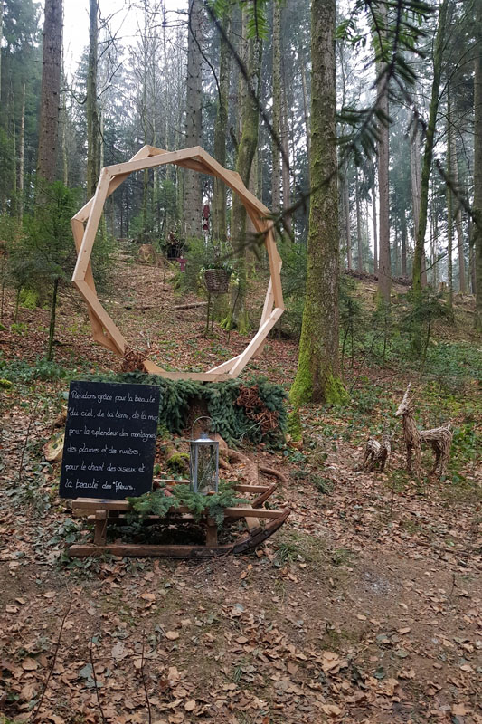 Randonnée - Sentier à tire d’ailes à Le Crêt