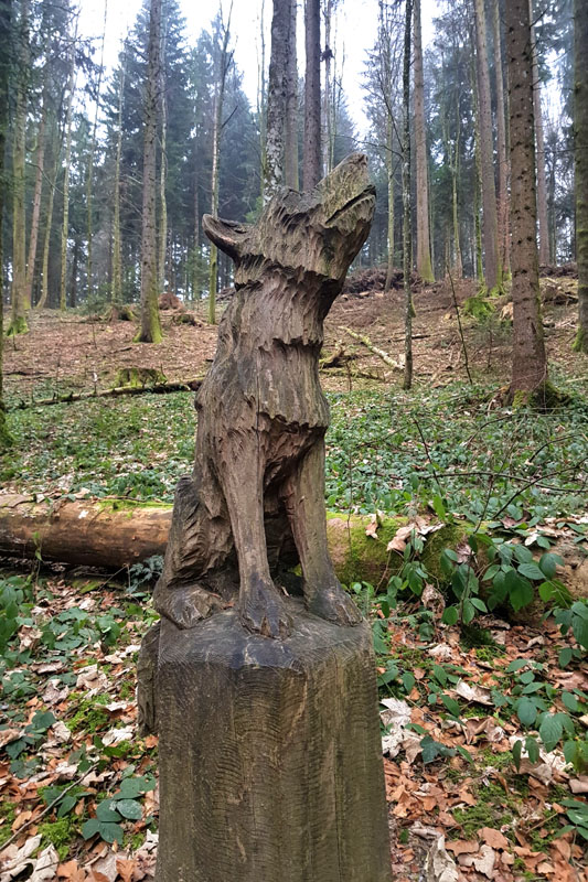 Randonnée - Sentier à tire d’ailes à Le Crêt