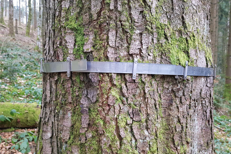 Randonnée - Sentier à tire d’ailes à Le Crêt