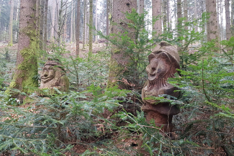 Randonnée - Sentier à tire d’ailes à Le Crêt