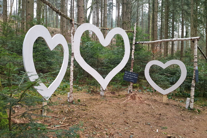 Randonnée - Sentier à tire d’ailes à Le Crêt