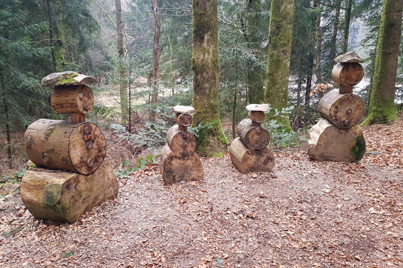 Randonnée - Sentier à tire d’ailes à Le Crêt
