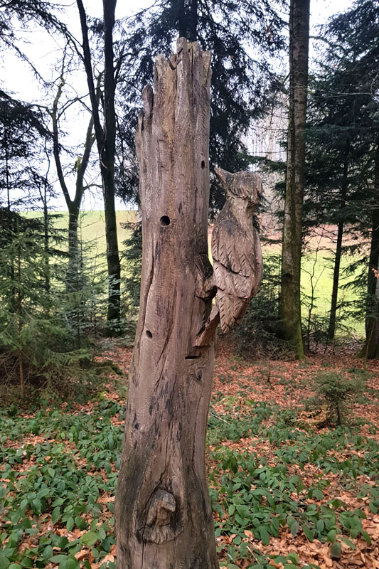 Randonnée - Sentier à tire d’ailes à Le Crêt