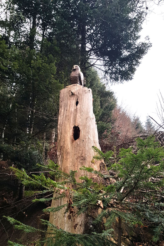 Randonnée - Sentier à tire d’ailes à Le Crêt