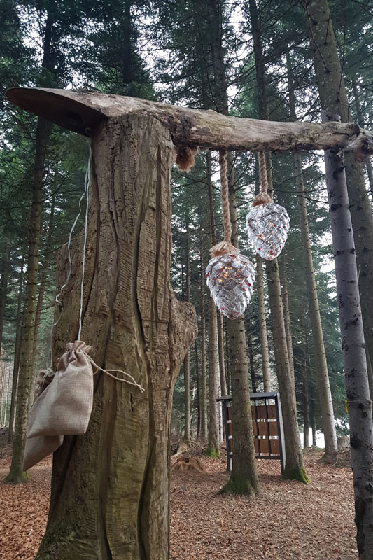 Randonnée - Sentier à tire d’ailes à Le Crêt