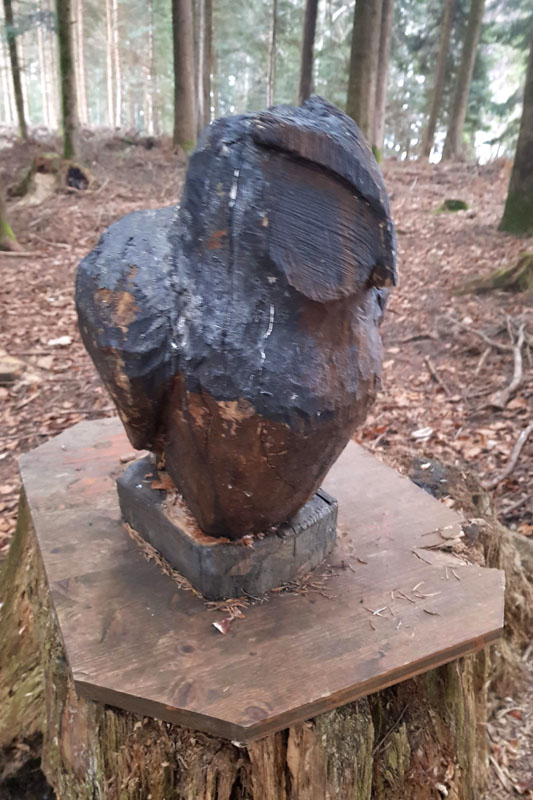 Randonnée - Sentier à tire d’ailes à Le Crêt