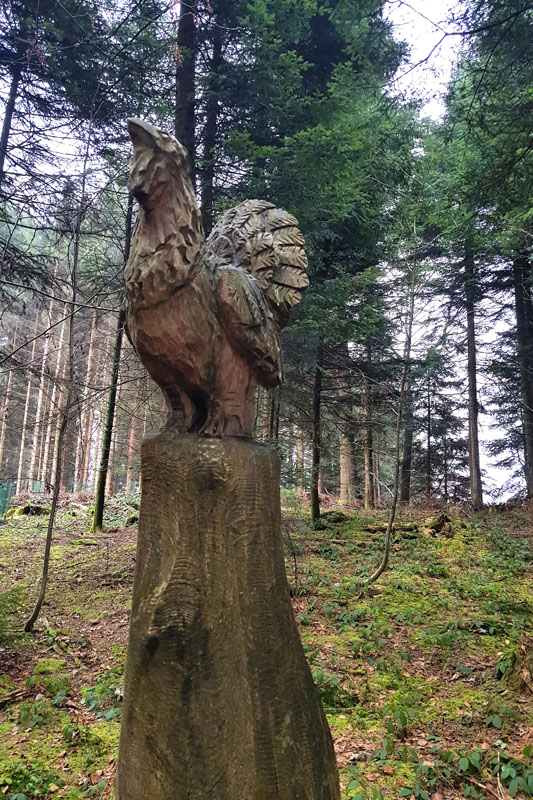 Randonnée - Sentier à tire d’ailes à Le Crêt