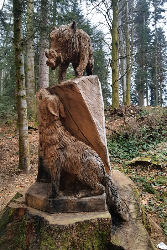 Randonnée - Sentier à tire d’ailes à Le Crêt
