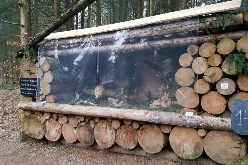 Randonnée - Sentier à tire d’ailes à Le Crêt