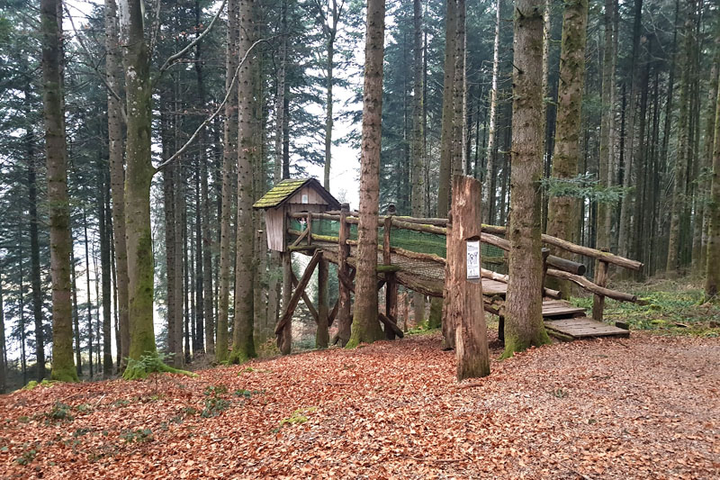 Randonnée - Sentier à tire d’ailes à Le Crêt