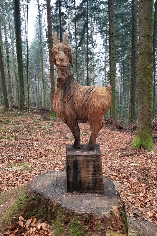 Randonnée - Sentier à tire d’ailes à Le Crêt