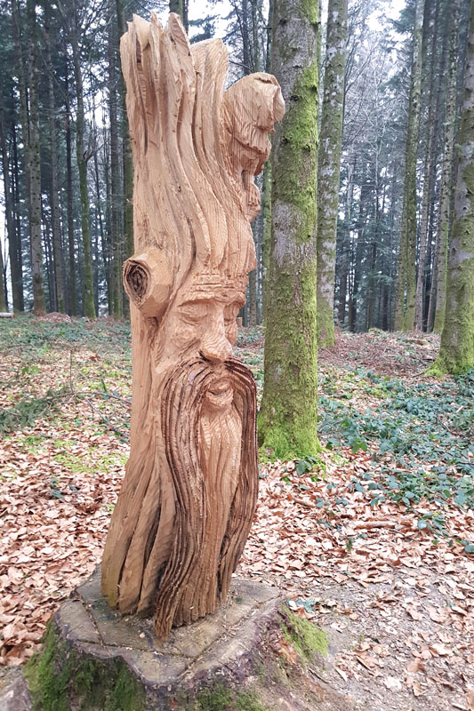 Randonnée - Sentier à tire d’ailes à Le Crêt