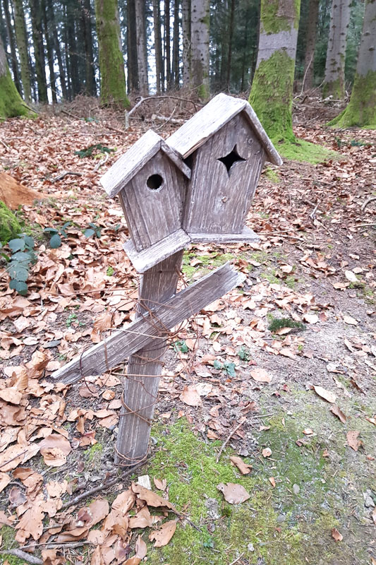 Randonnée - Sentier à tire d’ailes à Le Crêt