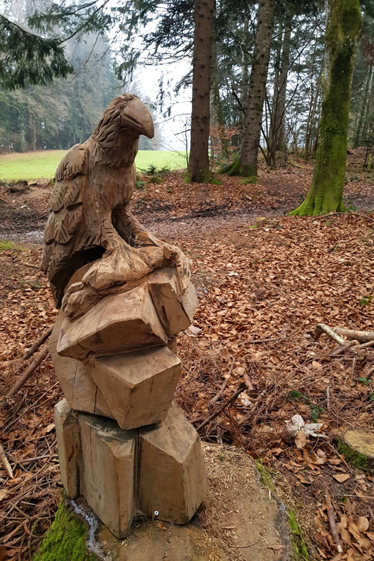 Randonnée - Sentier à tire d’ailes à Le Crêt