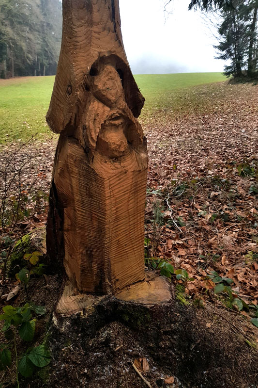 Randonnée - Sentier à tire d’ailes à Le Crêt