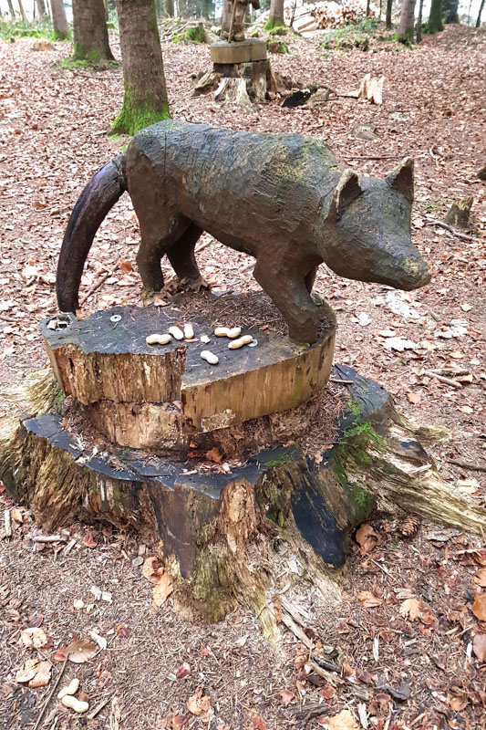 Randonnée - Sentier à tire d’ailes à Le Crêt