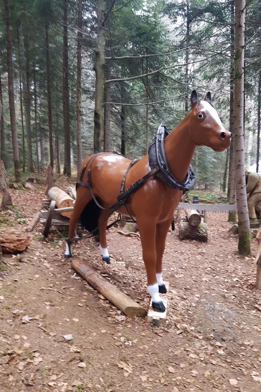 Randonnée - Sentier à tire d’ailes à Le Crêt