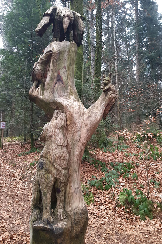 Randonnée - Sentier à tire d’ailes à Le Crêt
