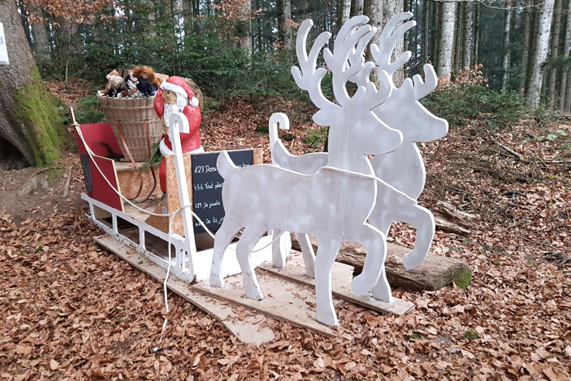 Randonnée - Sentier à tire d’ailes à Le Crêt