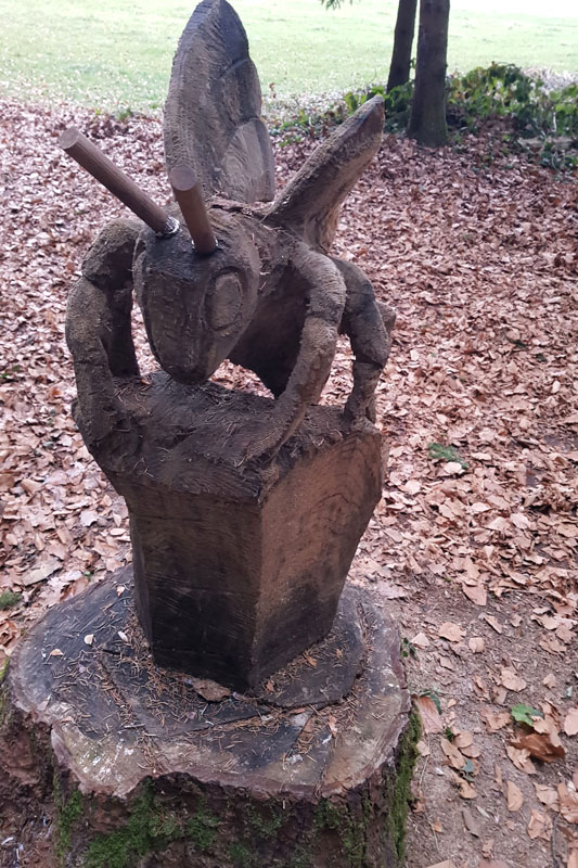 Randonnée - Sentier à tire d’ailes à Le Crêt