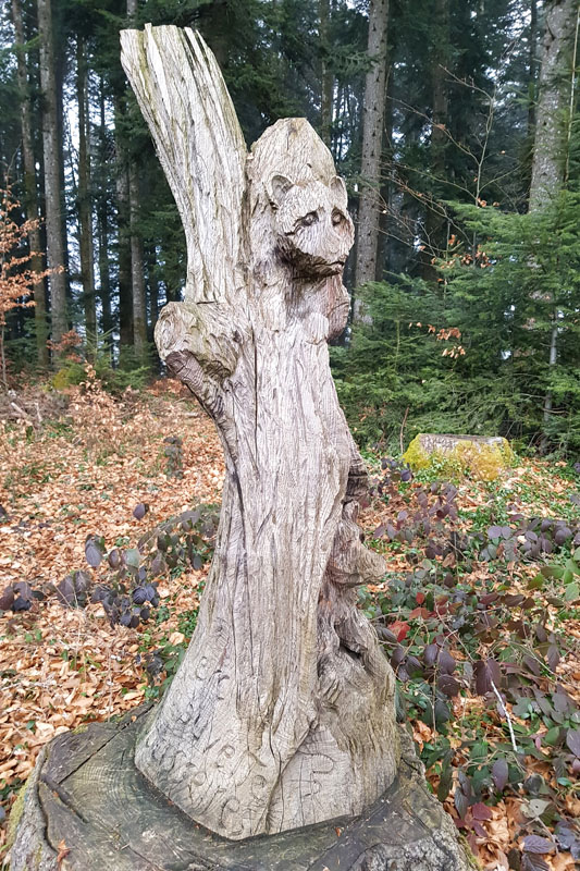 Randonnée - Sentier à tire d’ailes à Le Crêt