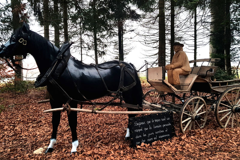 Randonnée - Sentier à tire d’ailes à Le Crêt