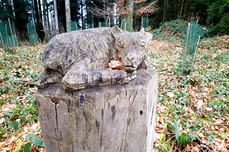 Randonnée - Sentier à tire d’ailes à Le Crêt
