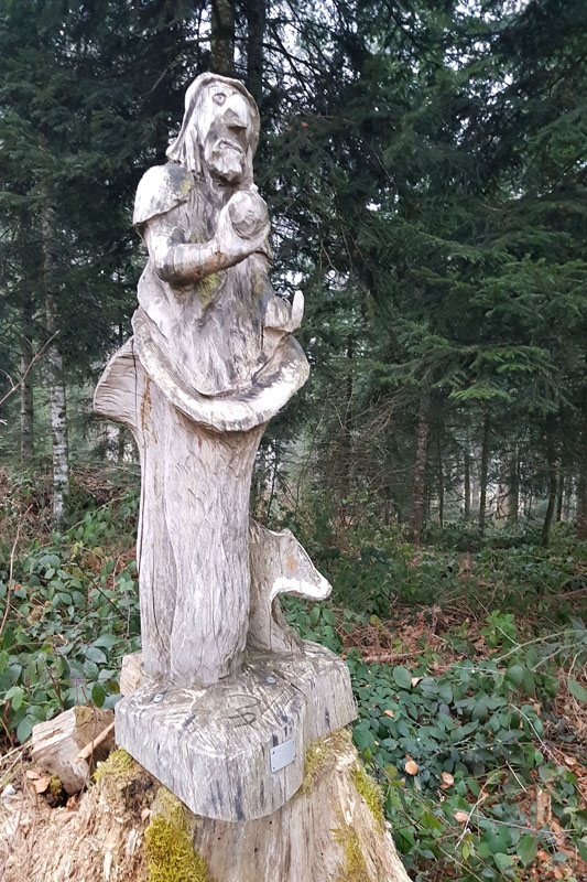 Randonnée - Sentier à tire d’ailes à Le Crêt