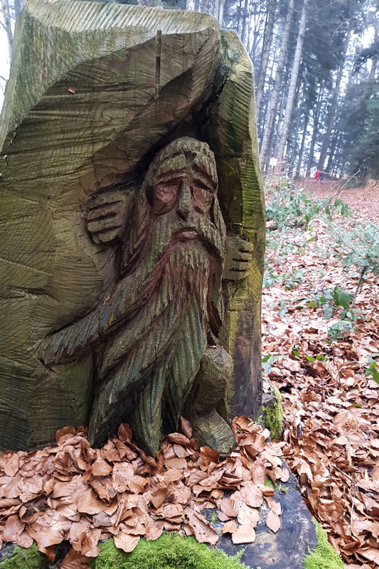 Randonnée - Sentier à tire d’ailes à Le Crêt