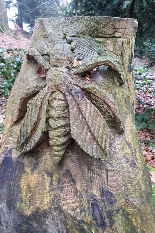 Randonnée - Sentier à tire d’ailes à Le Crêt