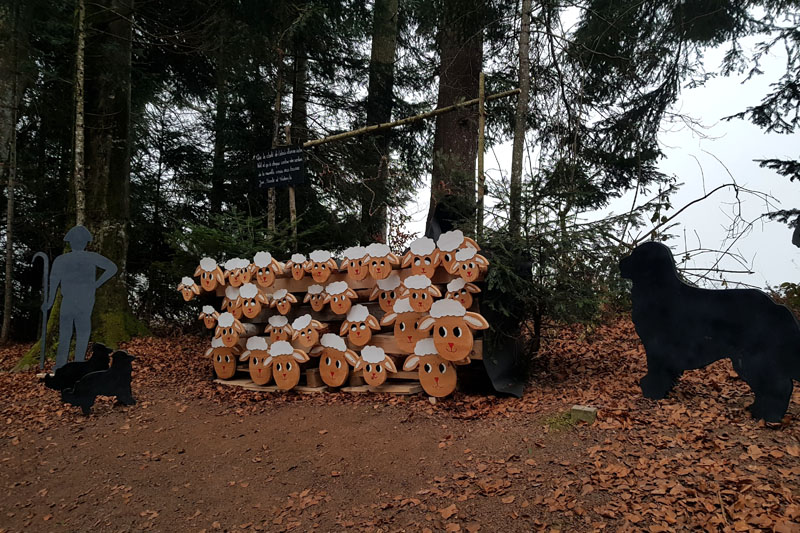 Randonnée - Sentier à tire d’ailes à Le Crêt